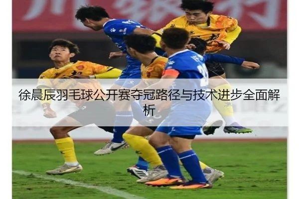 徐晨辰羽毛球公开赛夺冠路径与技术进步全面解析